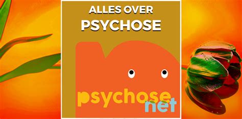 Goede En Betrouwbare Informatie Psychosenetnl