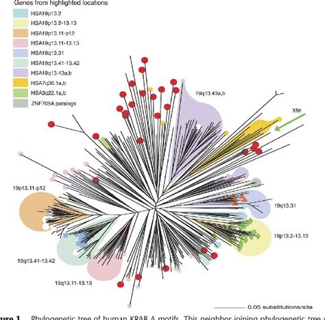 Figure 1 From A Comprehensive Catalog Of Human KRAB Associated Zinc