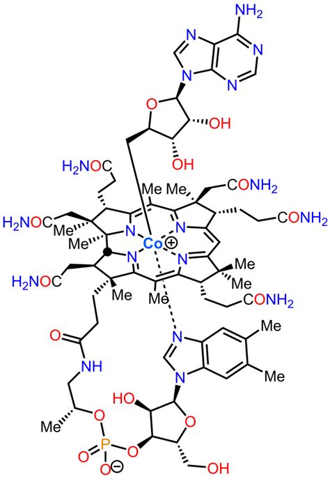 What Is The Difference Between Methylcobalamin And Adenosylcobalamin