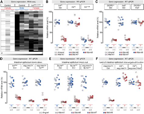 Figure 1 From Sex Differences In Intestinal Carbohydrate Metabolism