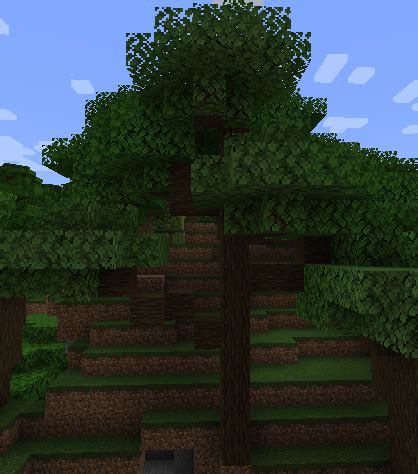 Single Dark Oak Tree | Biome Makeover Wiki