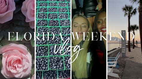 Florida Vlog Drake Concert Tiffanys Birthday Celebration Farmers