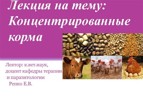 Концентрированные корма в животноводстве - презентация онлайн