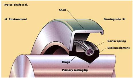 Seal Analysis Pays