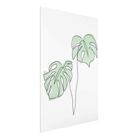 Bl Tter Monstera Line Art Glasbild Im Hochformat Bilderwelten