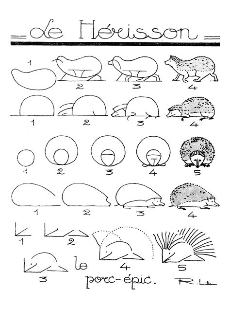 Disegno Passo Dopo Passo Rose Per Bambini 82 Idee Su Disegni In