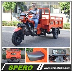 Chinese Tricycle Factory Chongqing 175cc Motorcycle Truck 3 Wheel