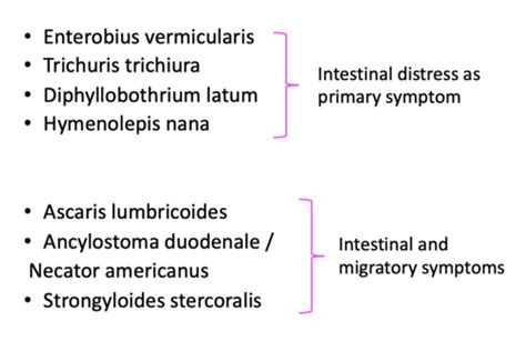 Dla Parasitic Gi Infections Flashcards Quizlet