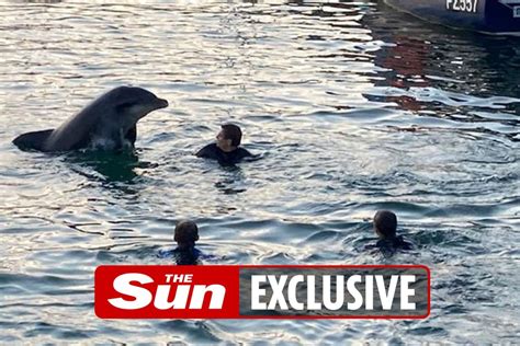 Swimmers Warned To Steer Clear Of Amorous Dolphin In Case He Becomes Sexually Aggressive