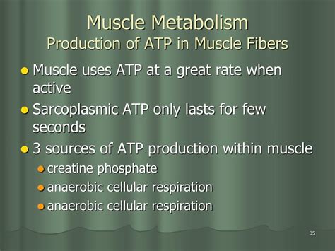 Ppt Three Types Of Muscle Tissue Powerpoint Presentation Free Download Id 6036446