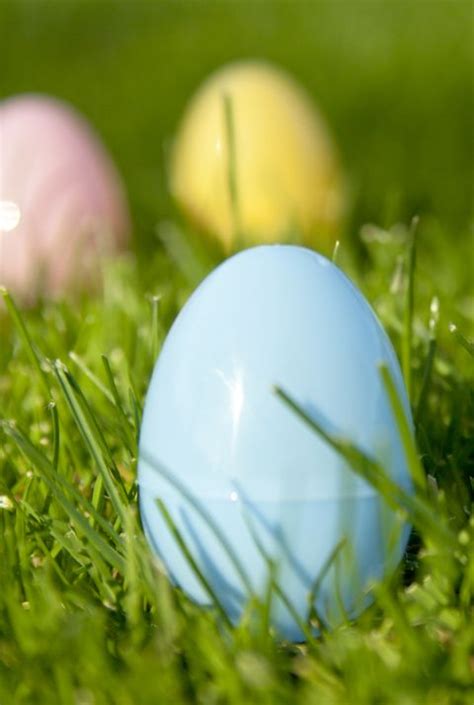 24 Best Adult Easter Egg Hunt Ideas How To Host An Easter Egg Hunt