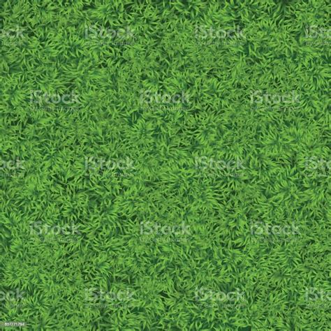 Natural Realistic Green Grass Texture Background Soccer Grass Top Template Stock Illustration