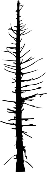 Download Dead Tree Silhouette Png Free Png Images Toppng