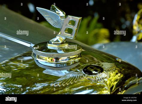 Bentley emblem on classic car R-Type from 1954 Stock Photo - Alamy