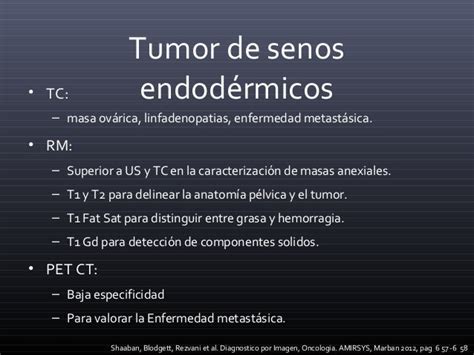 Tumor De Senos Endodérmicos