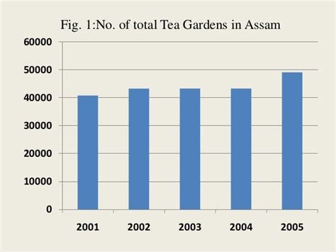 Tea Industry In Assam