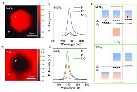 Strong Photoluminescence Pl Modulation In Monolayer Mose 2 And Wse 2