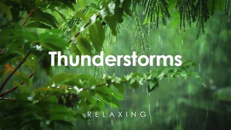 Thunderstorm Sound, Tropical rain for relaxation - YouTube