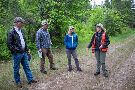 Gianforte Tours Flathead Valley Fire Mitigation Site Daily Inter Lake