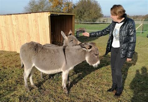 Loché sur Indrois une ferme pédagogique pour renouer avec la nature