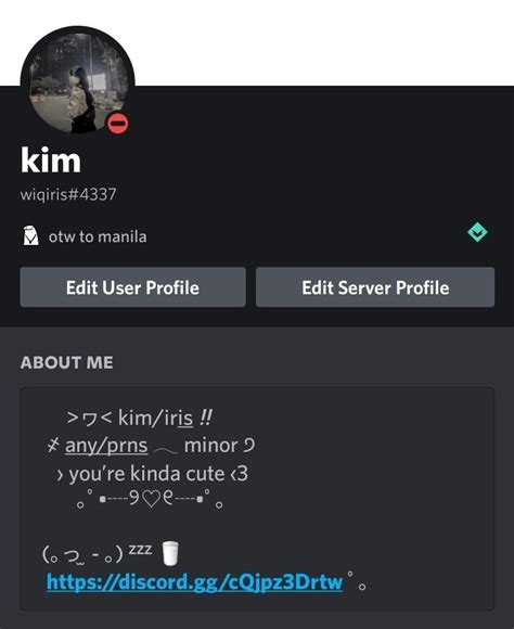 Discord Profile And Bio Instagram Bio Discord Profile