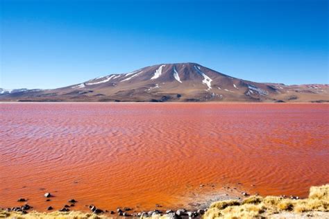 Salar De Uyuni Complete Guide To Visiting Bolivias Salt Flats