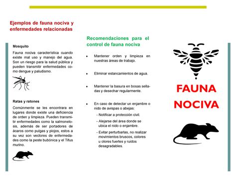 Fauna Nociva Actividad Fauna Nociva Recomendaciones Para El Control