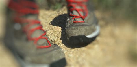 Una mañana de excursión por el Monasterio de Rueda Ayuntamiento de