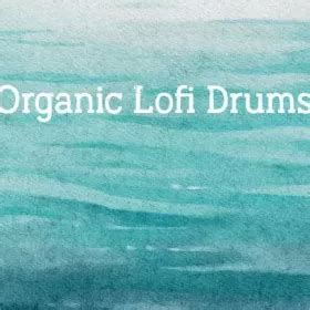 New Loops Organic Lofi Drums WAV FANTASTiC 编曲资源