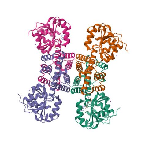 RCSB PDB 2UYY Structure Of The Cytokine Like Nuclear Factor N Pac