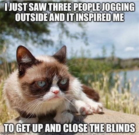 20 Grumpy Cat Memes Grumpy Cat Quotes Hilarische Memes Memes