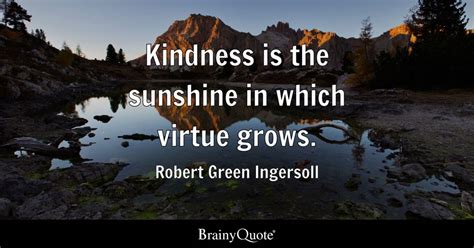 Robert Green Ingersoll Kindness Is The Sunshine In Which