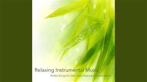 Gentle Rain Sound Meditation - YouTube Music