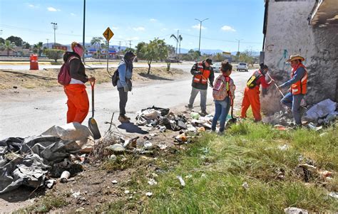 Semblanza Digital Se Recolectan 350 Toneladas De Basura Diariamente En