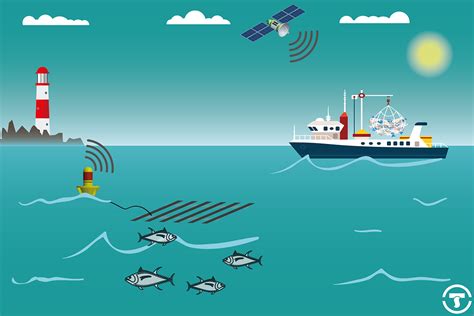 SouthTEK - Fish Aggregating Device