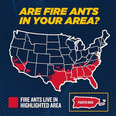 What States Have Invasive Fire Ants Spread To?