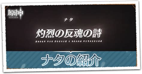 【原神】ナタの最新情報まとめ｜ゲームエイト