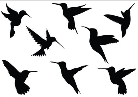 Hummingbird Silhouette Clipart Best