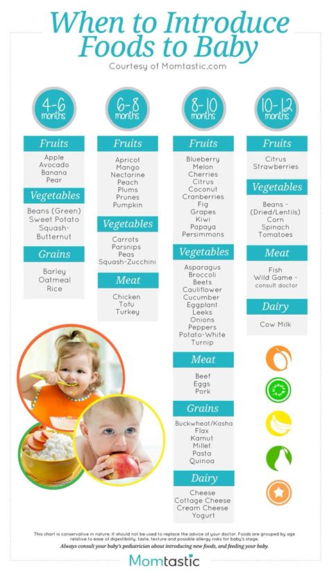 checklist printable baby solid food chart