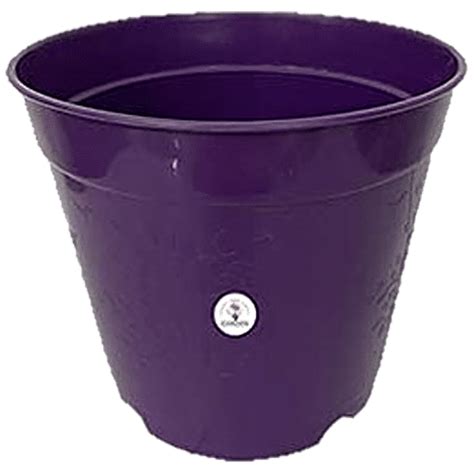 Buy Kraft Seeds Polypropylene Flowerpot Purple Cm Plastic Online