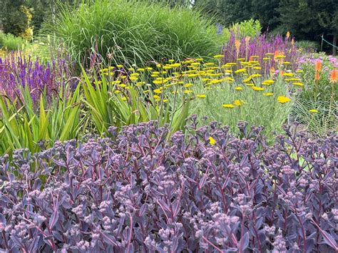 Bressingham Gardens | J. W. Townsend Landscapes