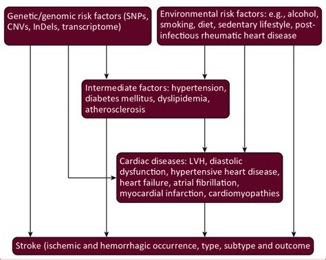 Framework For The Interaction Among Cardiovascular Risk Factors