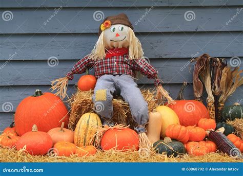 Harvest And Thanksgiving And Scarecrow Stock Photo Image Of Yellow