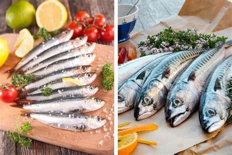 Sardines Vs Mackerel Complete Comparison Weigh School