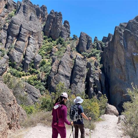 California Condors And More At Pinnacles National Park Carmel