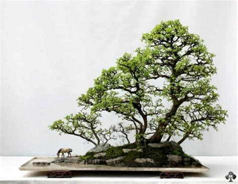 Top 10: Chinesische Penjing - Bonsai Empire