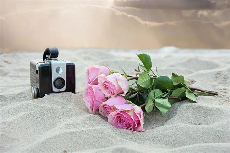 Beach Bouquet Photograph By Maria Dryfhout Fine Art America