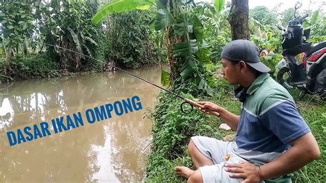 Berburu Ikan Marcoca Wader Sampai Hujan Youtube