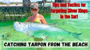 How To Catch Tarpon From The Beach A Step Guide To Surf Fishing For