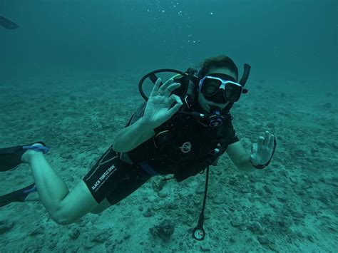 Black Turtle Dive Koh Tao Black Turtle Dive Yorumları Tripadvisor